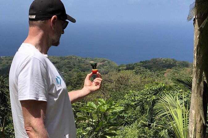 3 Hours Rainforest Walk in Tobago (Private) Lunch + Hummingbirds - Rainforest value: why $180 per person can make sense