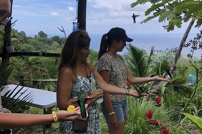 3 Hours Rainforest Walk in Tobago (Private) Lunch + Hummingbirds - What to pack (so the rainforest doesn’t ruin your day)