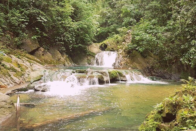 Aripo Waterfall Adventure - Quick hits on Aripo Waterfall Adventure