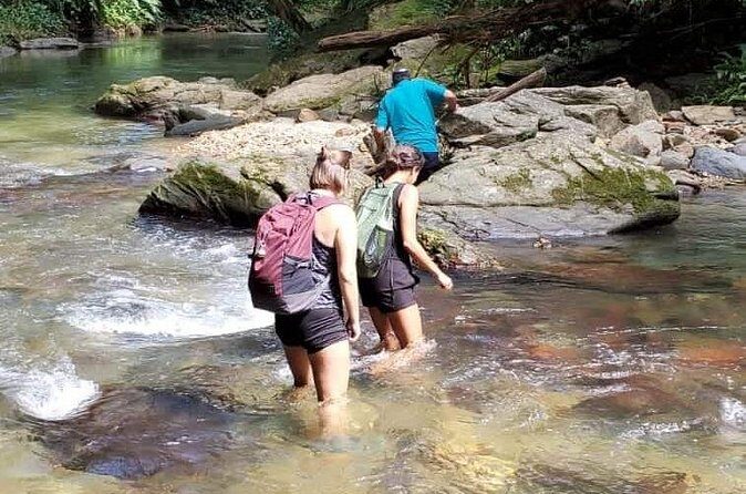 Avocat Waterfall and Beach Tour - Maracas Bay: Beach Time With Real Trini Flavor