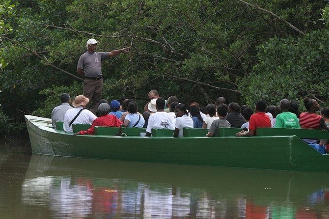 Caroni Bird Sanctuary Tour - Transfers, private guide, and the 4-hour rhythm
