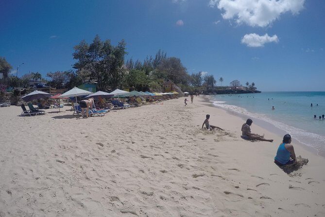 Highlights of Tobago Tour - Price and what you actually get for $75