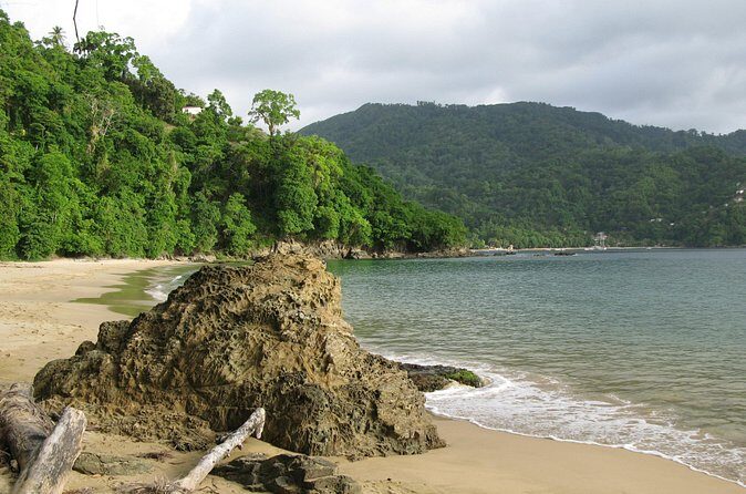 Pirate's Bay Day Trip with Lunch - Snorkeling at Pirate’s Bay: what’s included and what to do with it