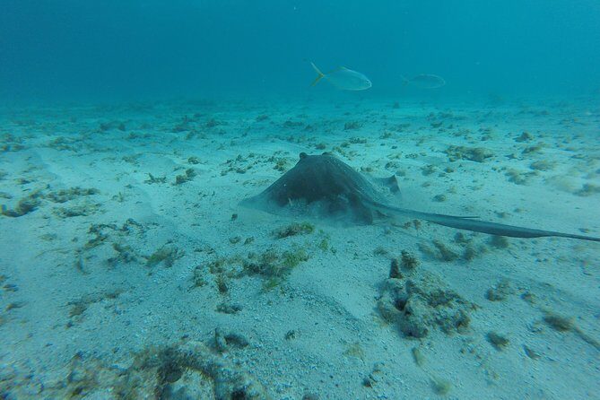 Snorkeling Tour (with Light Refreshments) - Price, group size, and value: is $80 a good deal?