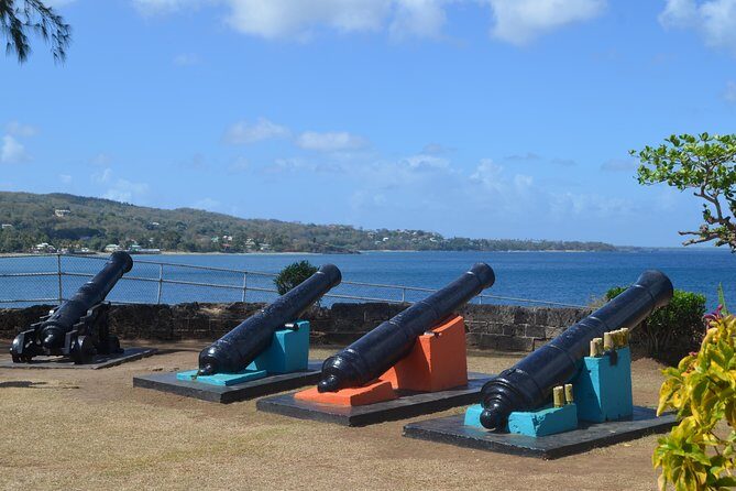 Tobago Island Tour - Caribbean Coast Stops: Silk Cotton Tree to Mount Dillon Lookout