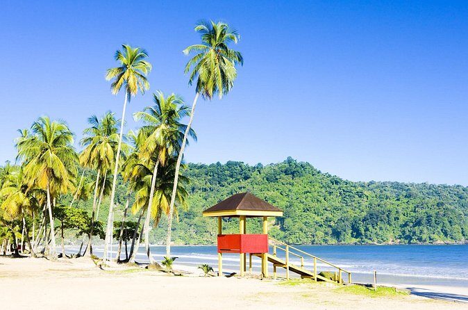Trinidad Highlights and Scenic Drive Tour - Saddle Road to Santa Cruz Valley: How the Plantation Drive Changes the Day