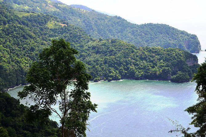 Trinidad Highlights Tour from Port of Spain - Should you book this Trinidad Highlights Tour from Port of Spain?