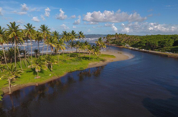 Trinidad Island Circle Tour with Pickup - Mayaro Beach and the Gulf of Paris: A Different Feel on the East Side