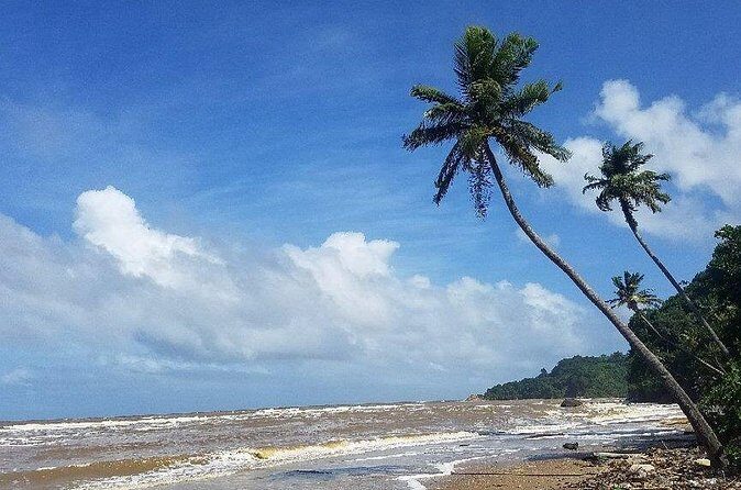 Trinidad Island Circle Tour with Pickup - Food and Off-the-Route Stops: What to Ask Your Guide For